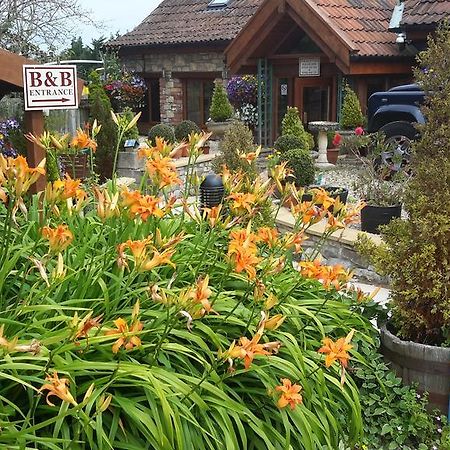 Bridge Farm Guesthouse Rooms Dundry Buitenkant foto