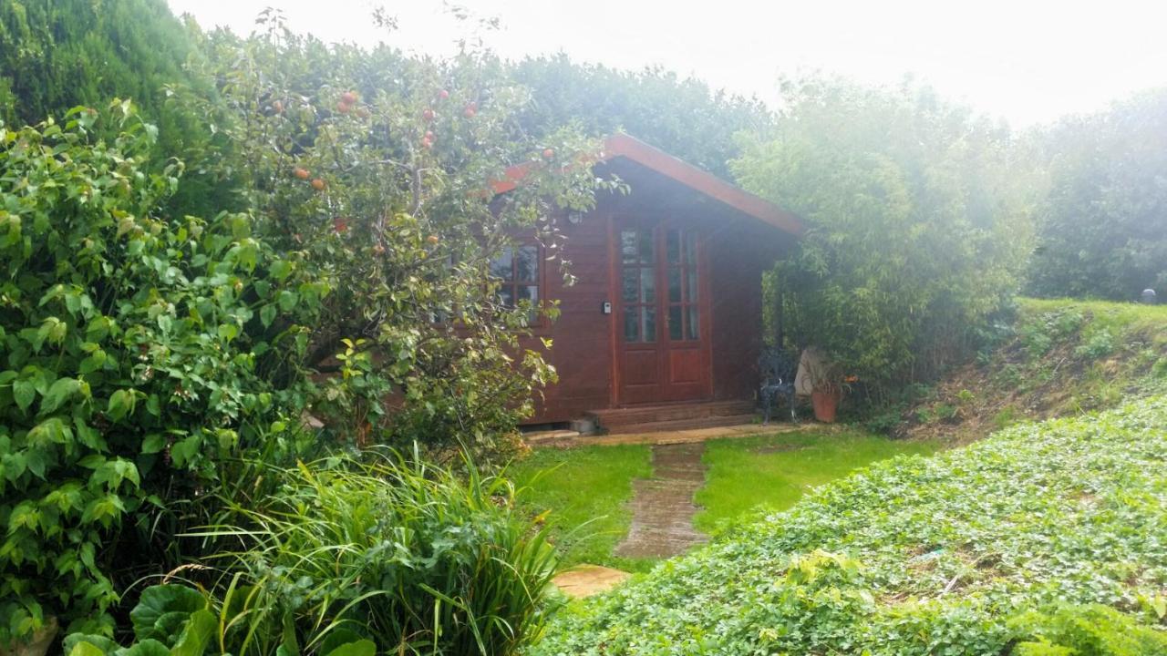 Bridge Farm Guesthouse Rooms Dundry Buitenkant foto